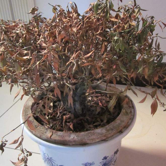 脏屋”家里有这5种物品一定要尽早处理掉！pg电子免费试玩模拟器俗话说：“财不入(图3)
