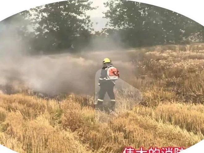 抢收小伙是00后看到收割机网友不淡定了pg电子中国网站山东麦田起火原因曝光(图3)